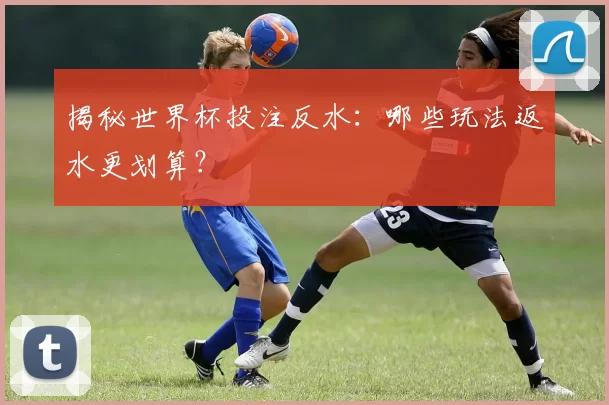 揭秘世界杯投注反水：哪些玩法返水更划算？