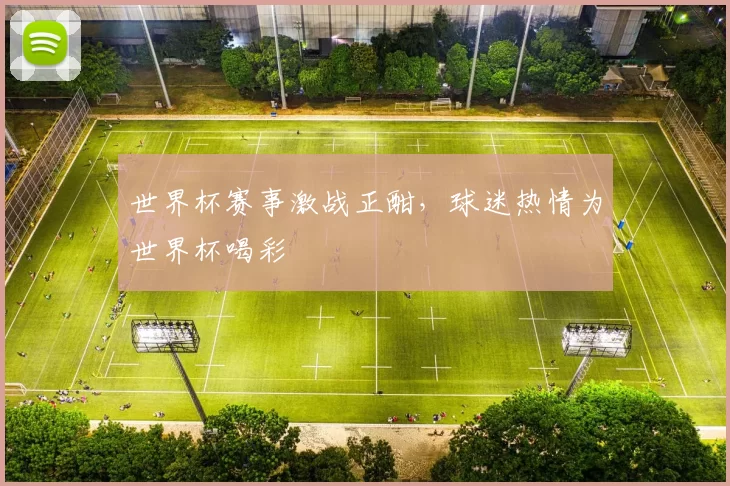 世界杯赛事激战正酣,球迷热情为世界杯喝彩