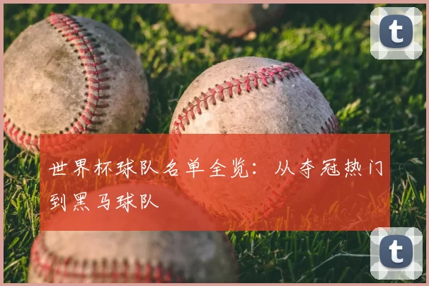 世界杯球队名单全览:从夺冠热门到黑马球队