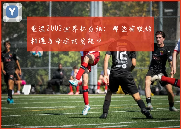 重温2002世界杯分组:那些宿敌的相遇与命运的岔路口