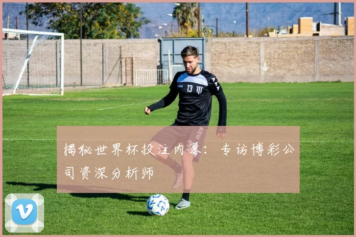 揭秘世界杯投注内幕：专访博彩公司资深分析师