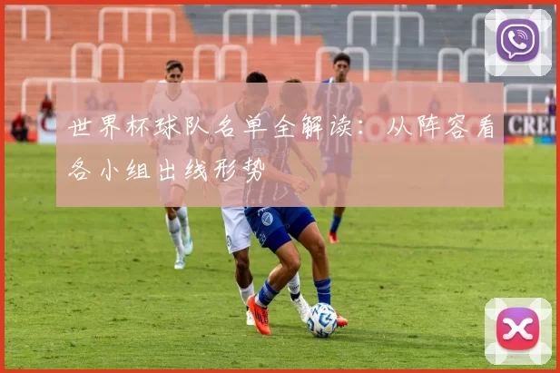 世界杯球队名单全解读:从阵容看各小组出线形势