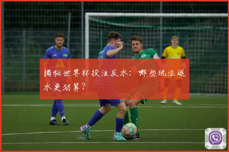 揭秘世界杯投注反水:哪些玩法返水更划算?