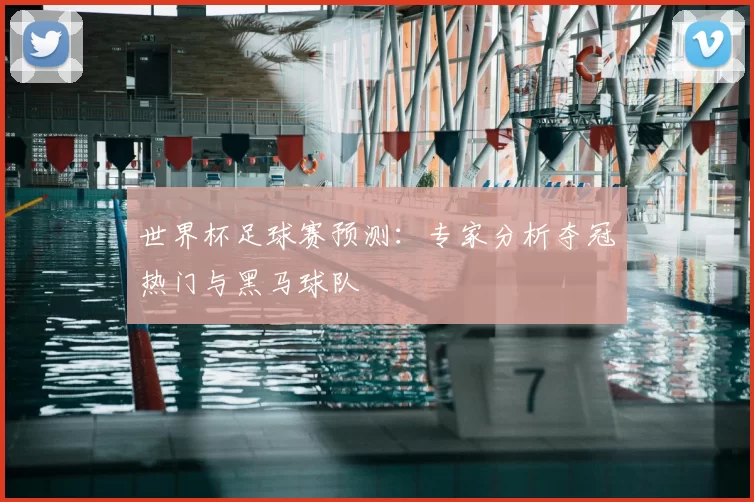 世界杯足球赛预测：专家分析夺冠热门与黑马球队